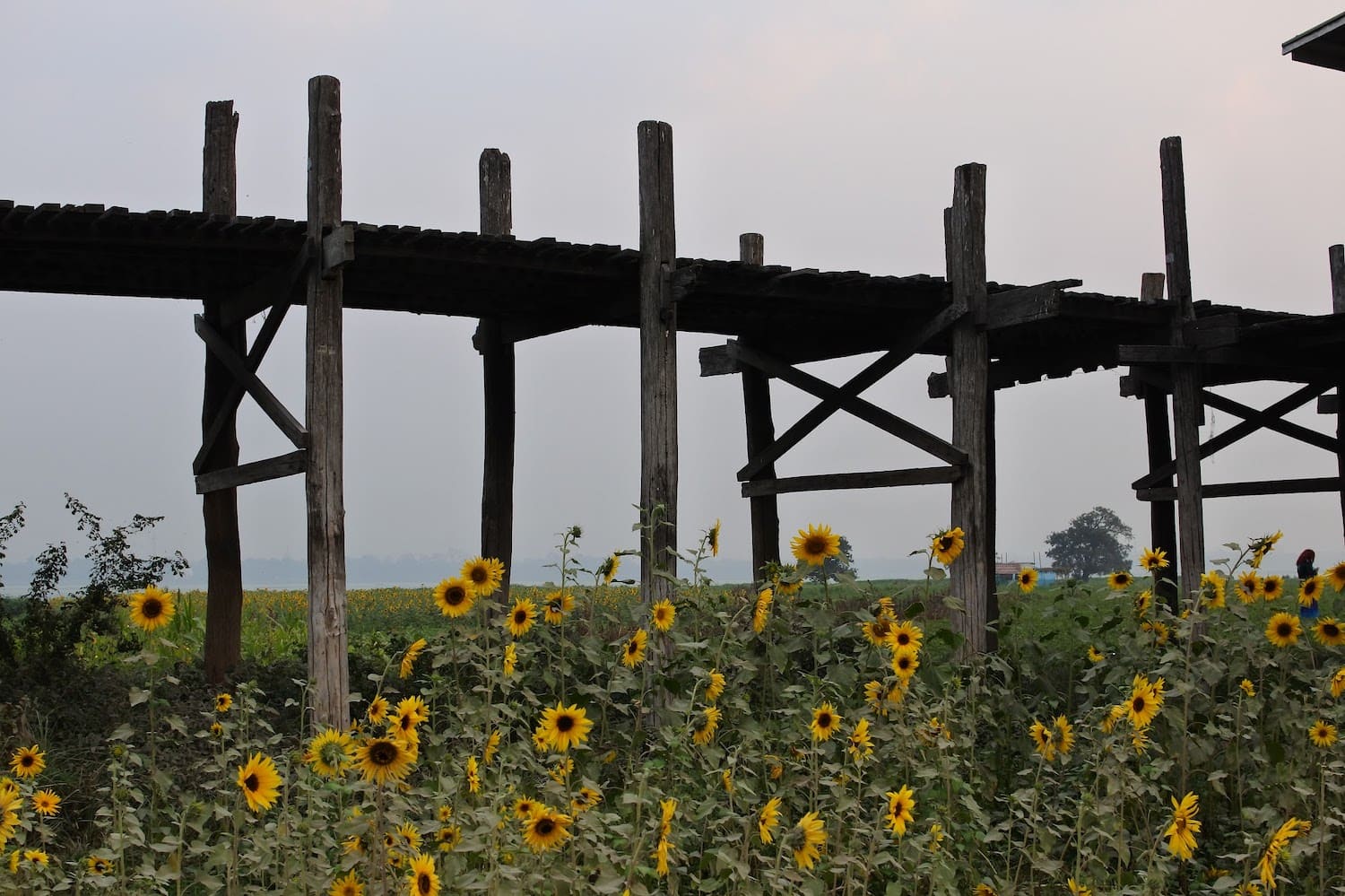 u bein bridge myanmar