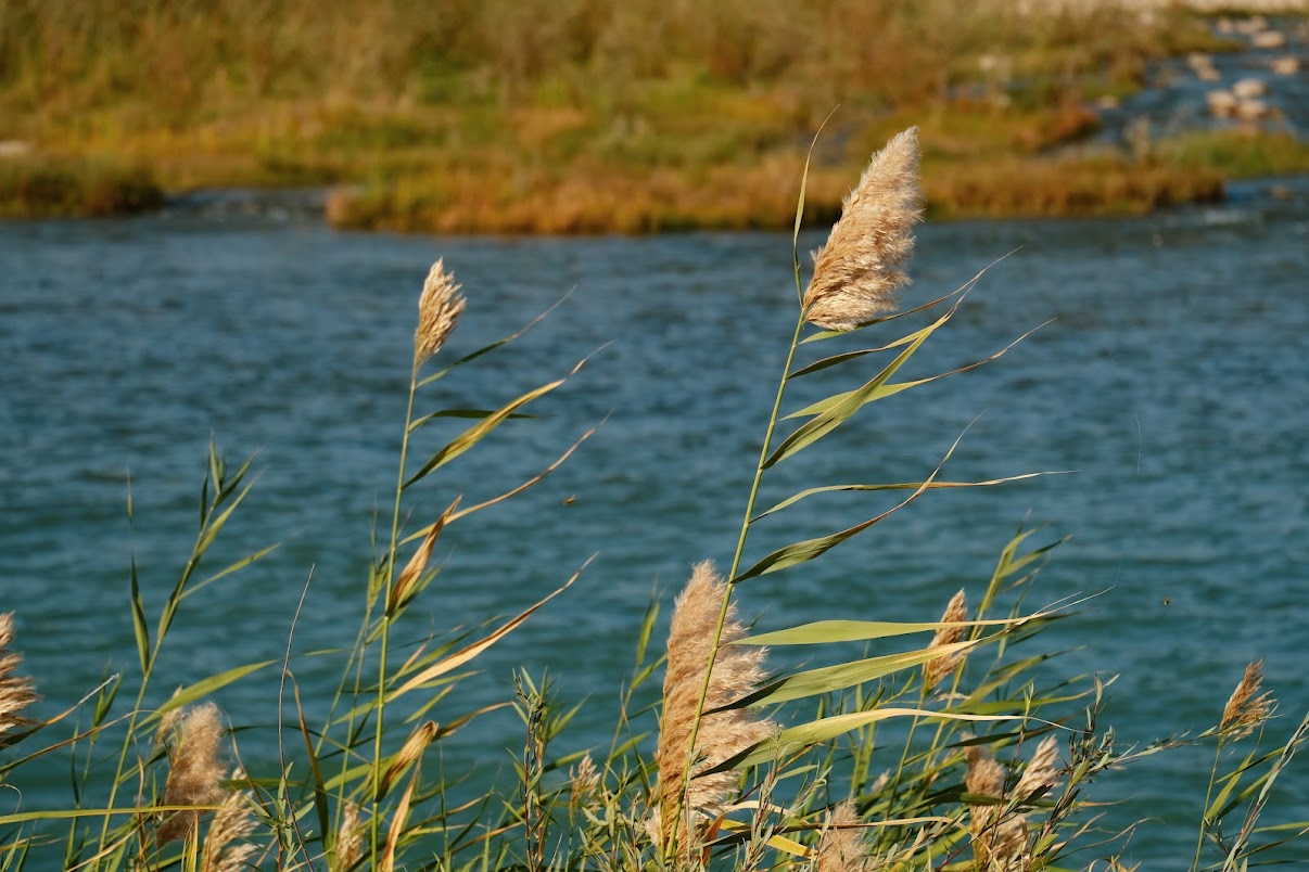 travel photographers near tashkent