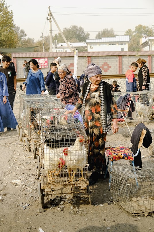 chicken market in tashkent