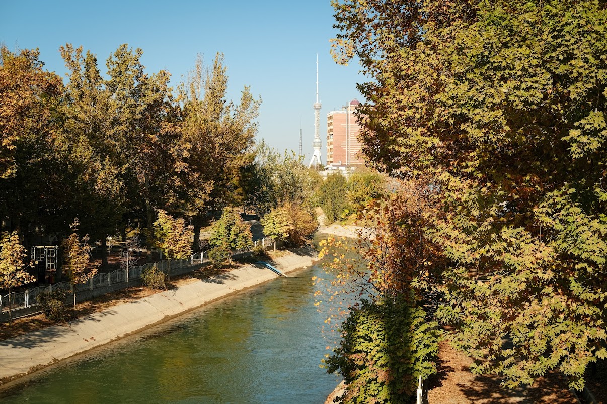 tv tower of tashkent view from a park