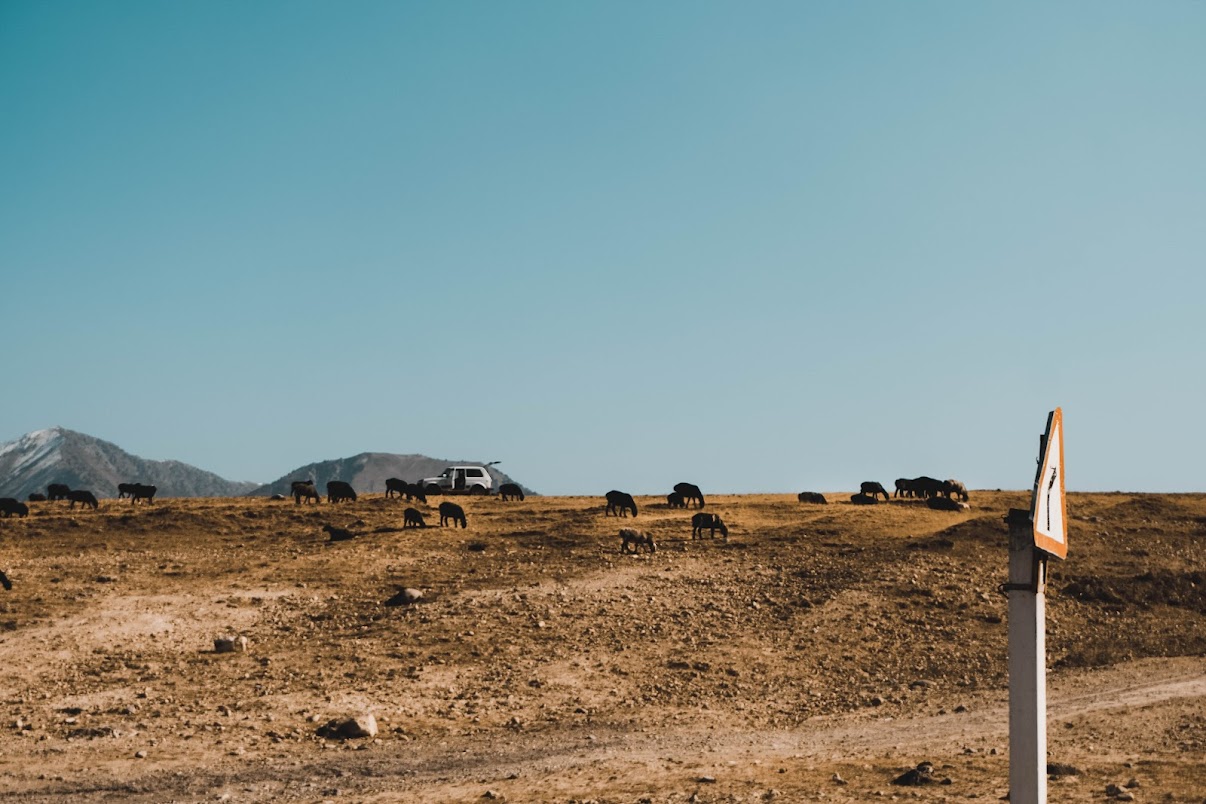 chimgan mountains uzbekistan